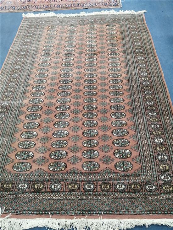 A Bokhara style rug 240 x 155cm